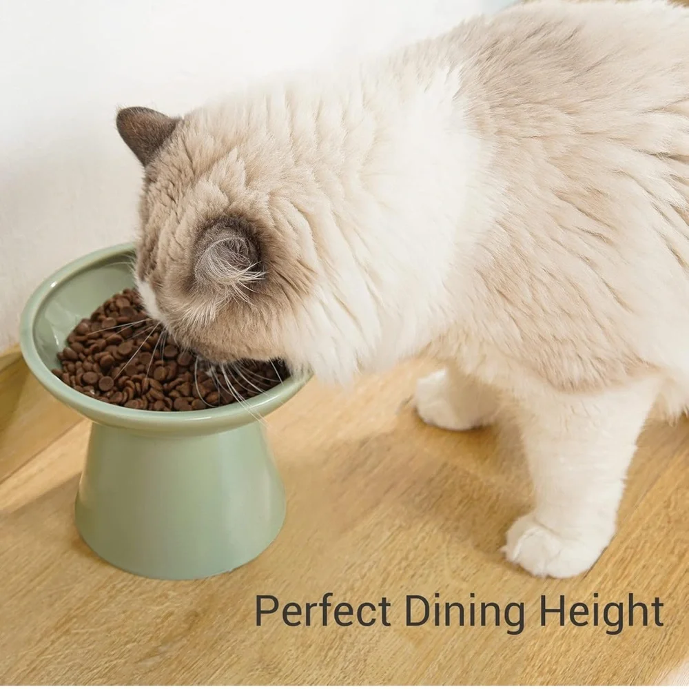 Elevated Green Pet Bowl